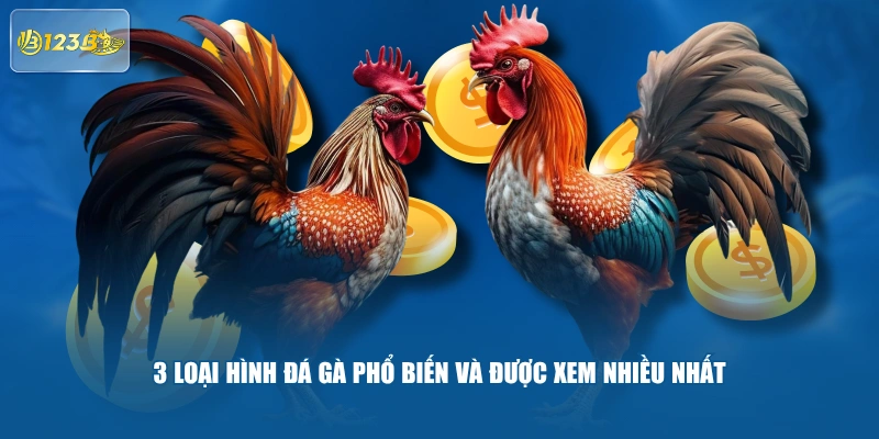 3 loại hình Đá Gà phổ biến và được xem nhiều nhất