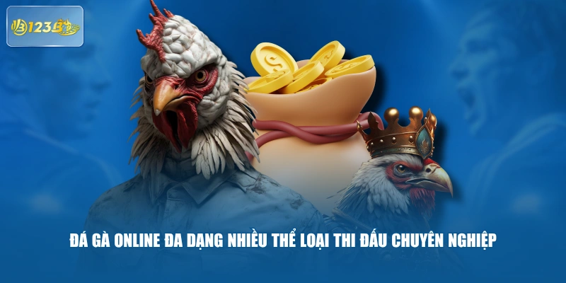 Đá gà online đa dạng nhiều thể loại thi đấu chuyên nghiệp