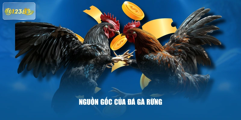 Nguồn gốc của đá gà rừng